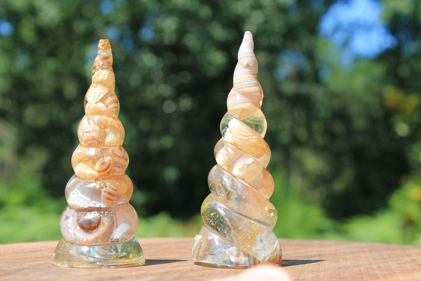 Corne de licorne - Coquillages