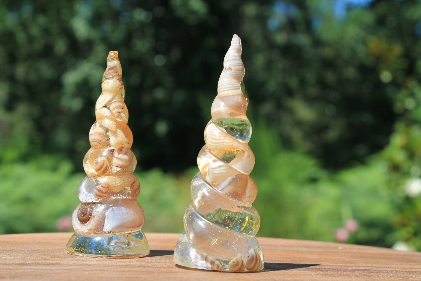 Corne de licorne - Coquillages