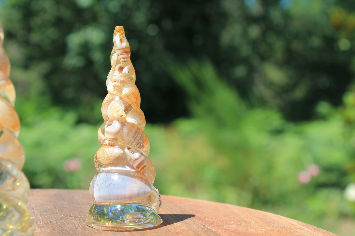 Corne de licorne - Coquillages