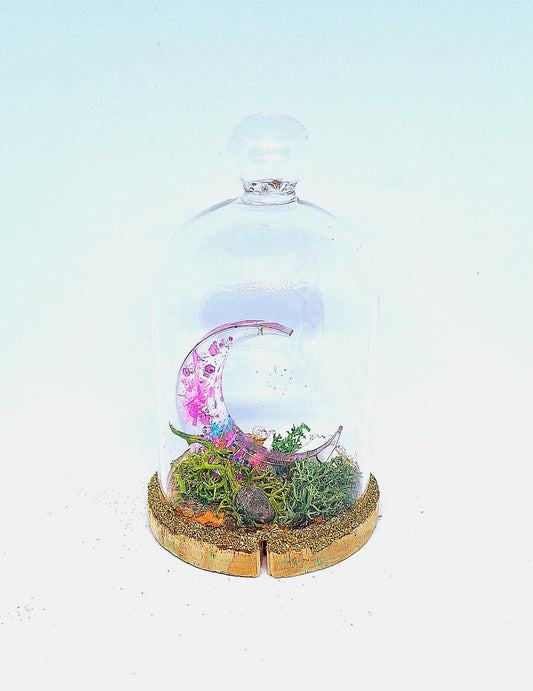 Lune rose sous cloche en verre
